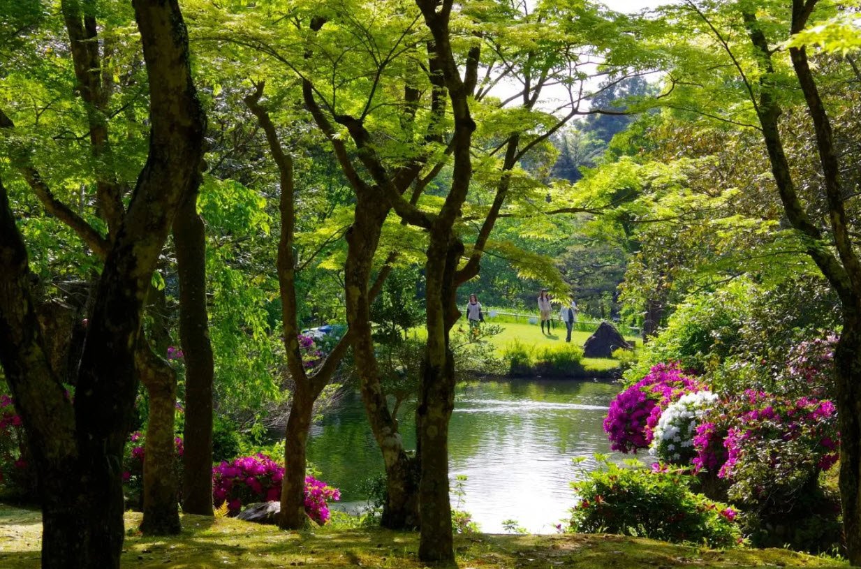 Manyo Botanical Gardens, Nara, Japan, Japan